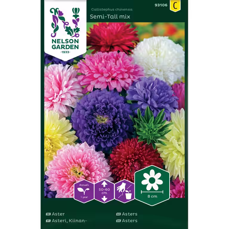 Asters mix