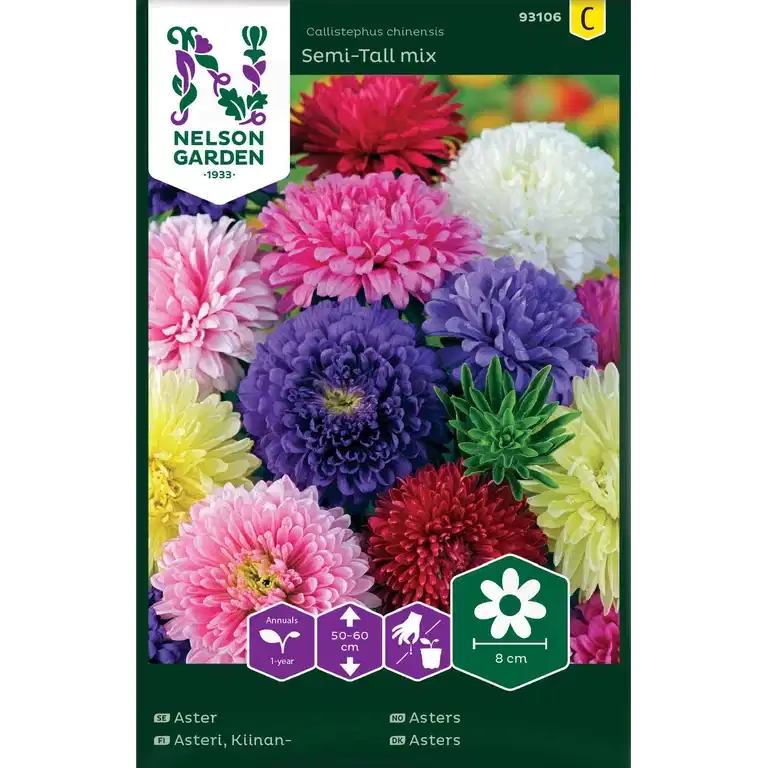 Asters mix