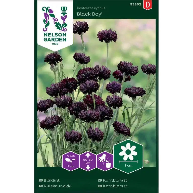 Kornblomst 'Black Boy'