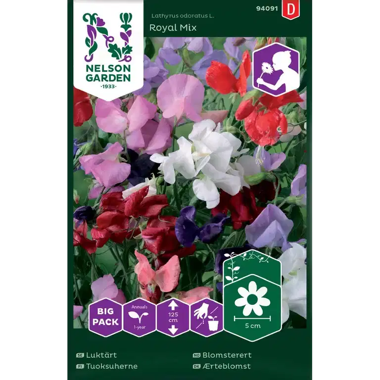 Blomsterert 'Royal Mix'