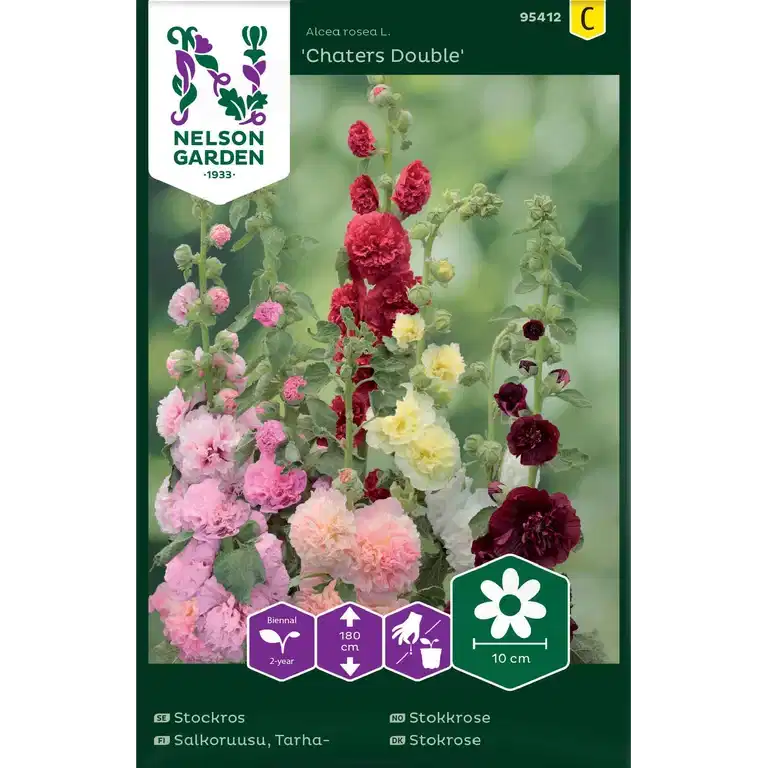Stokkrose 'Chaters Double'