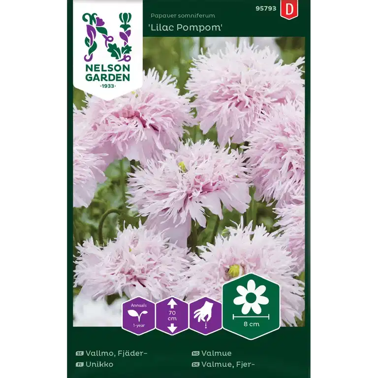 Valmue 'Lilac Pompom'