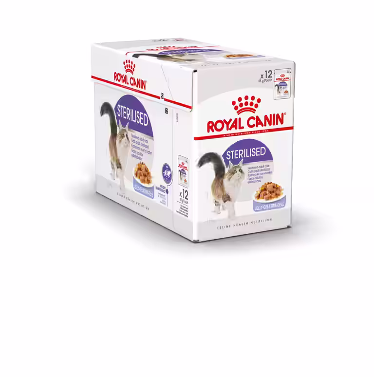 Royal Canin Indoor Sterilised Adult Gelé
