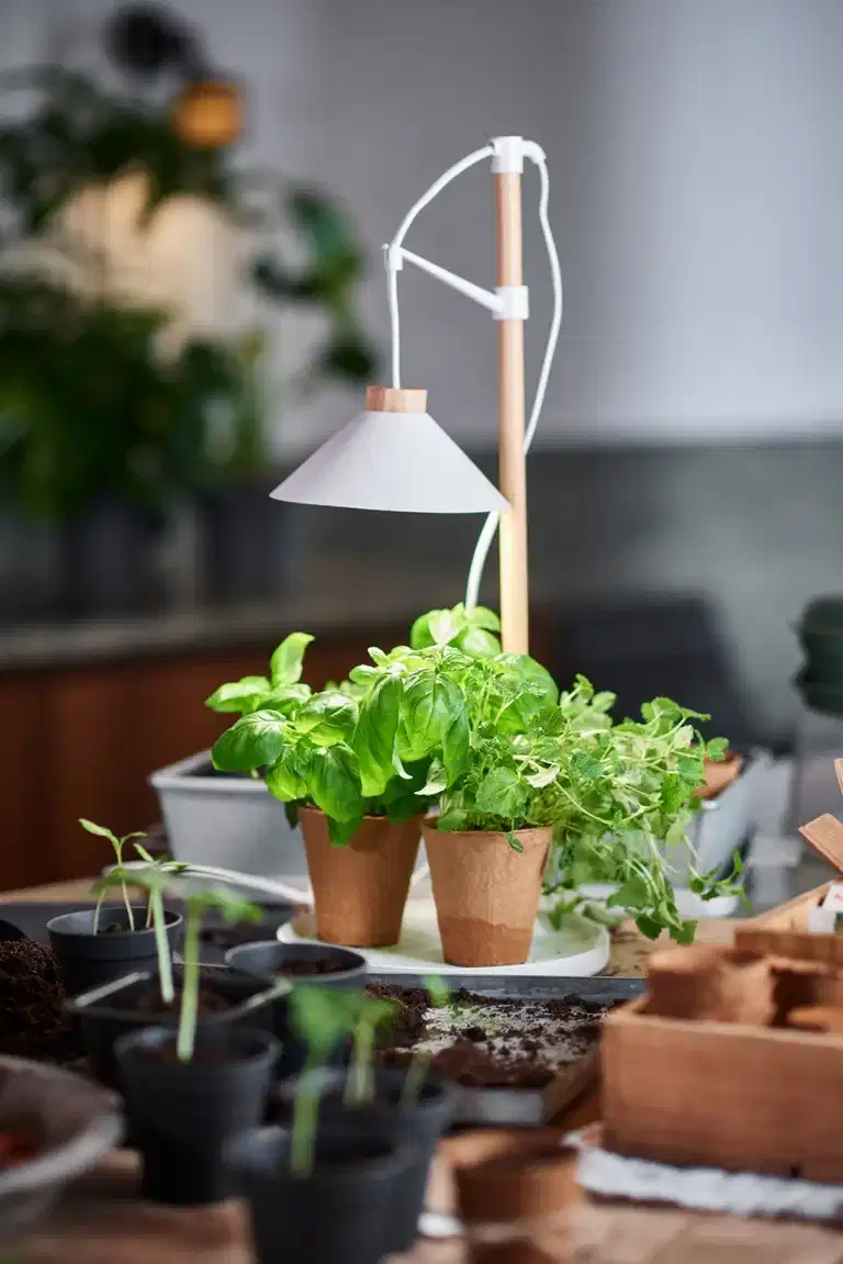 "Asti"  table grow light with round tray