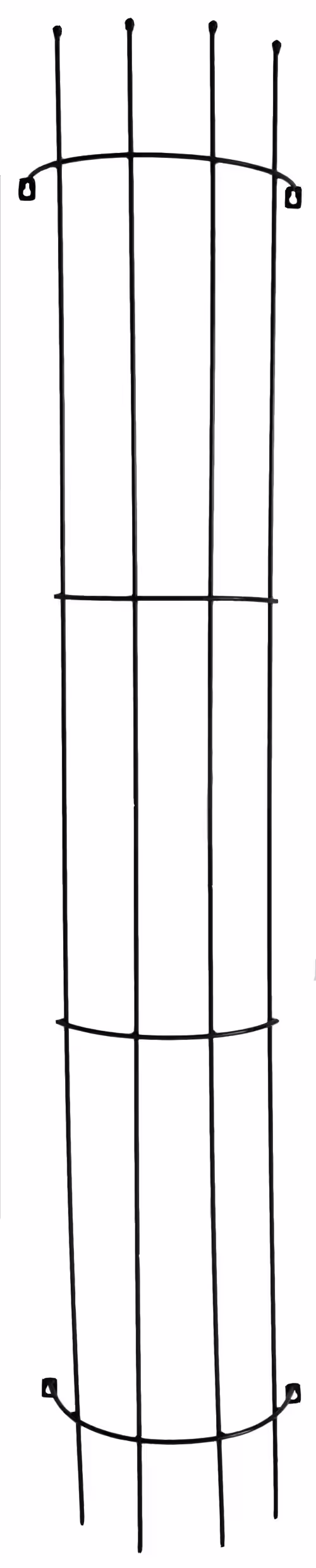 Espalier for vegg