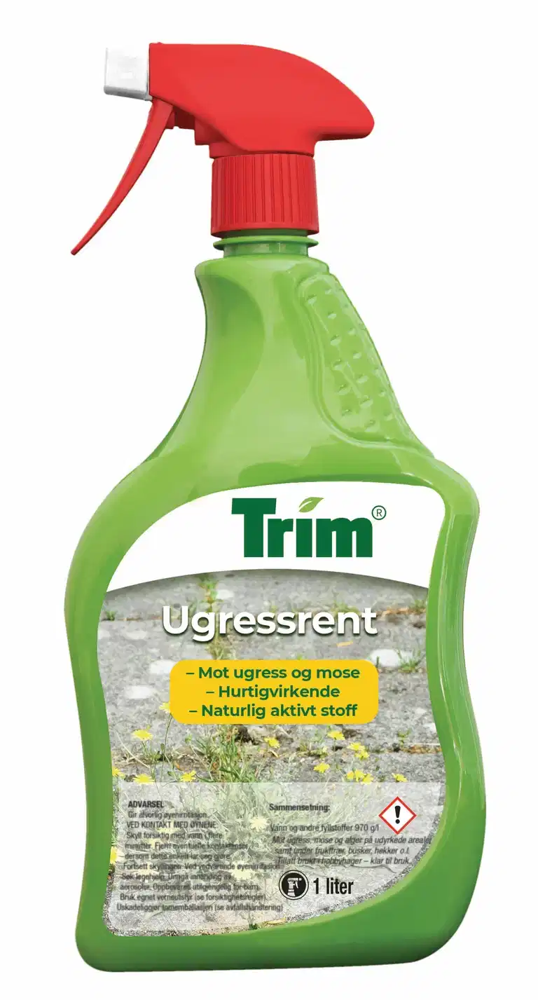 Ugressrent