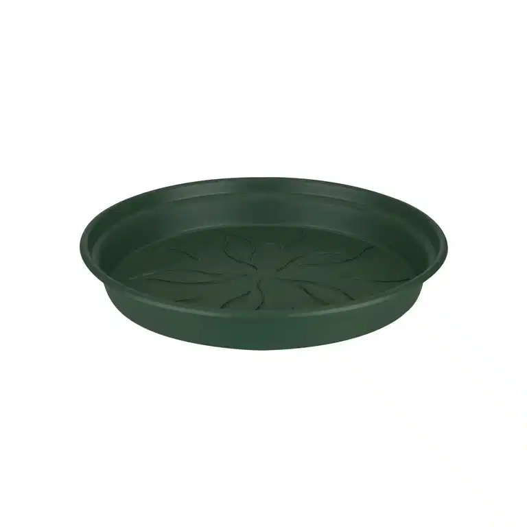 Fat Green basics