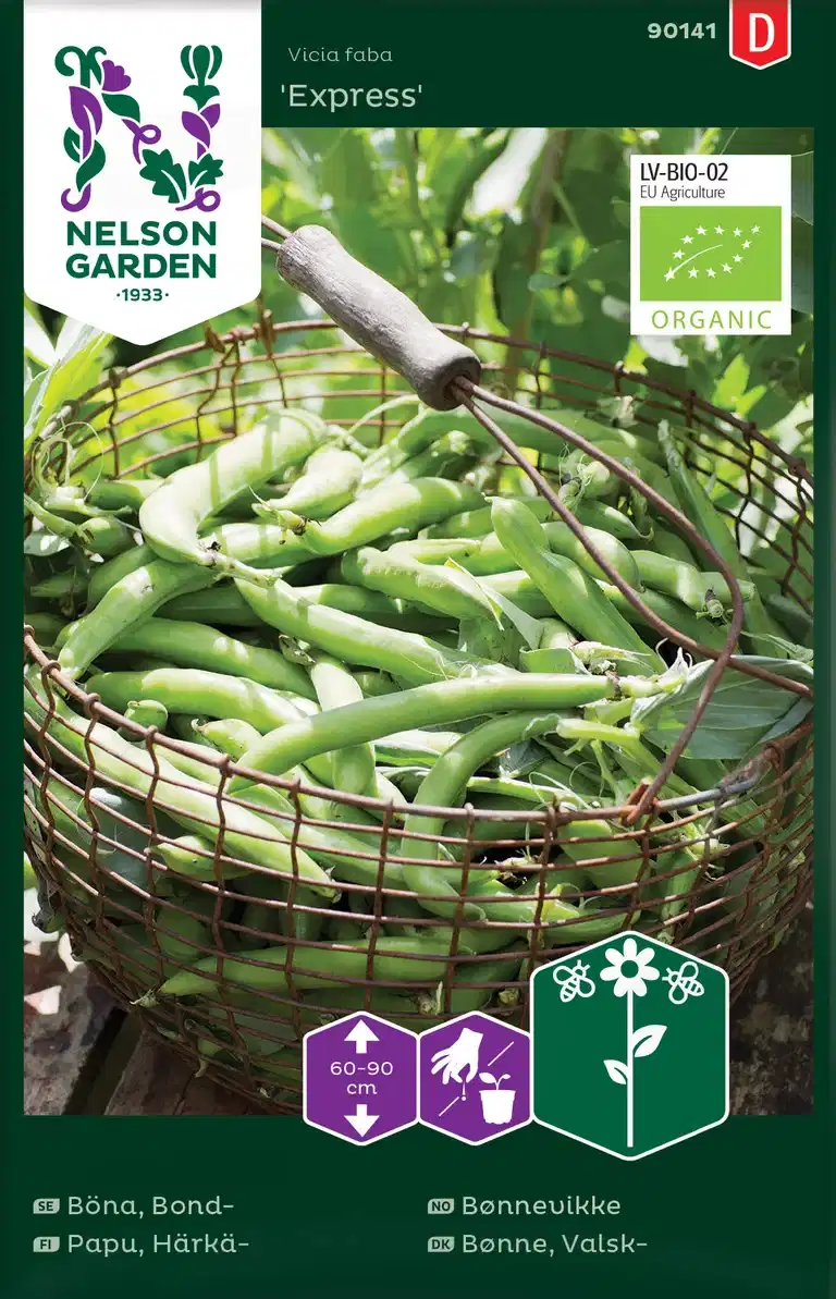 Bønnevikke 'Express'