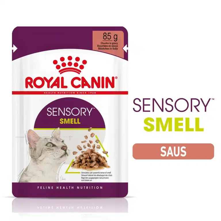 Royal Canin Sensory Smell Gravy Adult