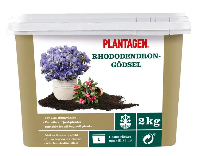 Rhododendrongjødsel