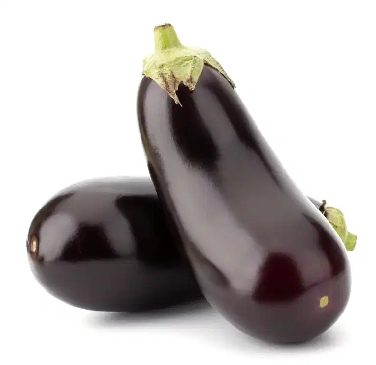 All N. Aubergine 'Violette di Rimini' 10,5 cm