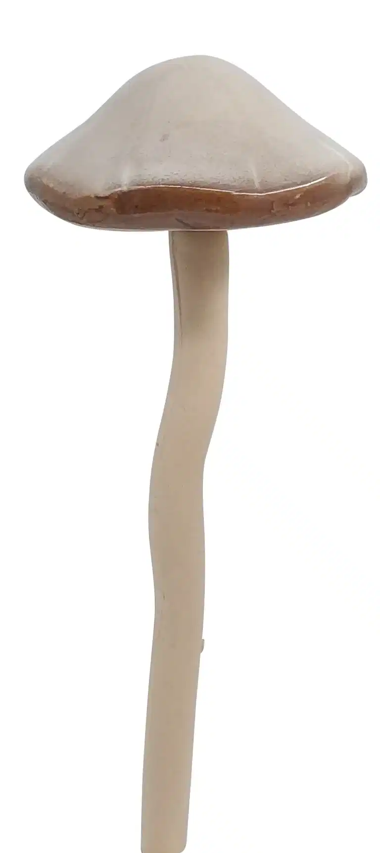 Dekorasjonspinne Sopp Lapis