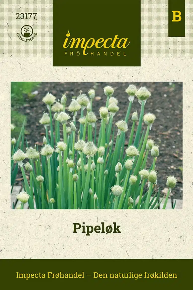 Pipeløk