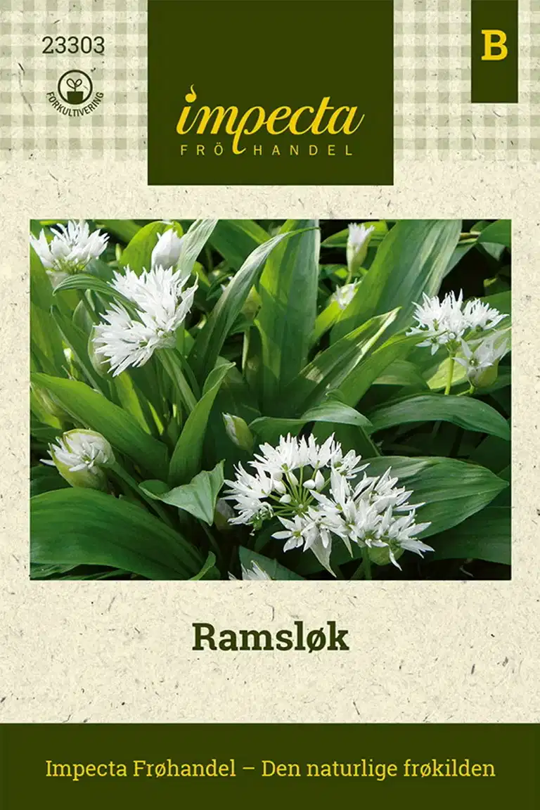 Ramsløk
