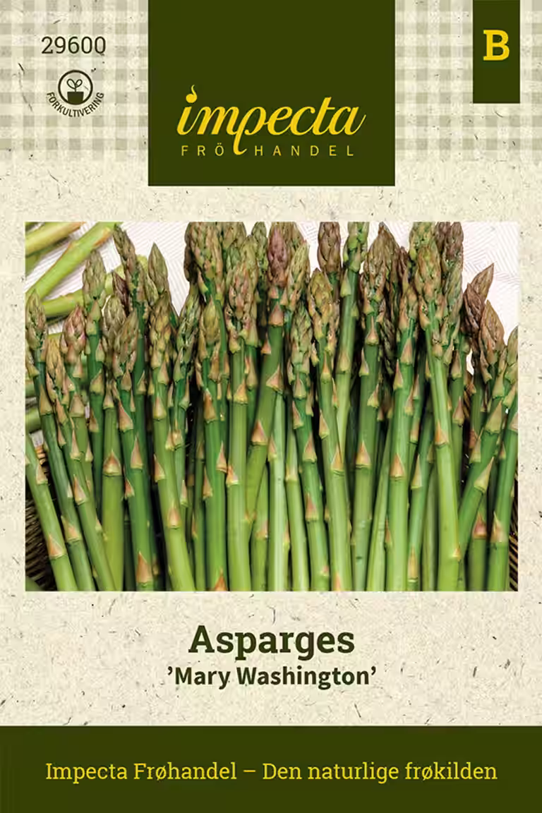 Asparges 'Mary Washington'