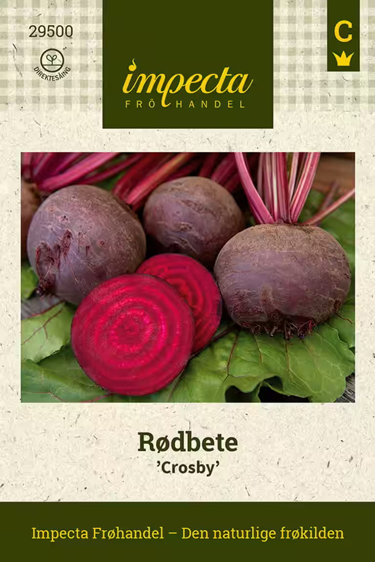 Beta vulgaris 'Crosby'
