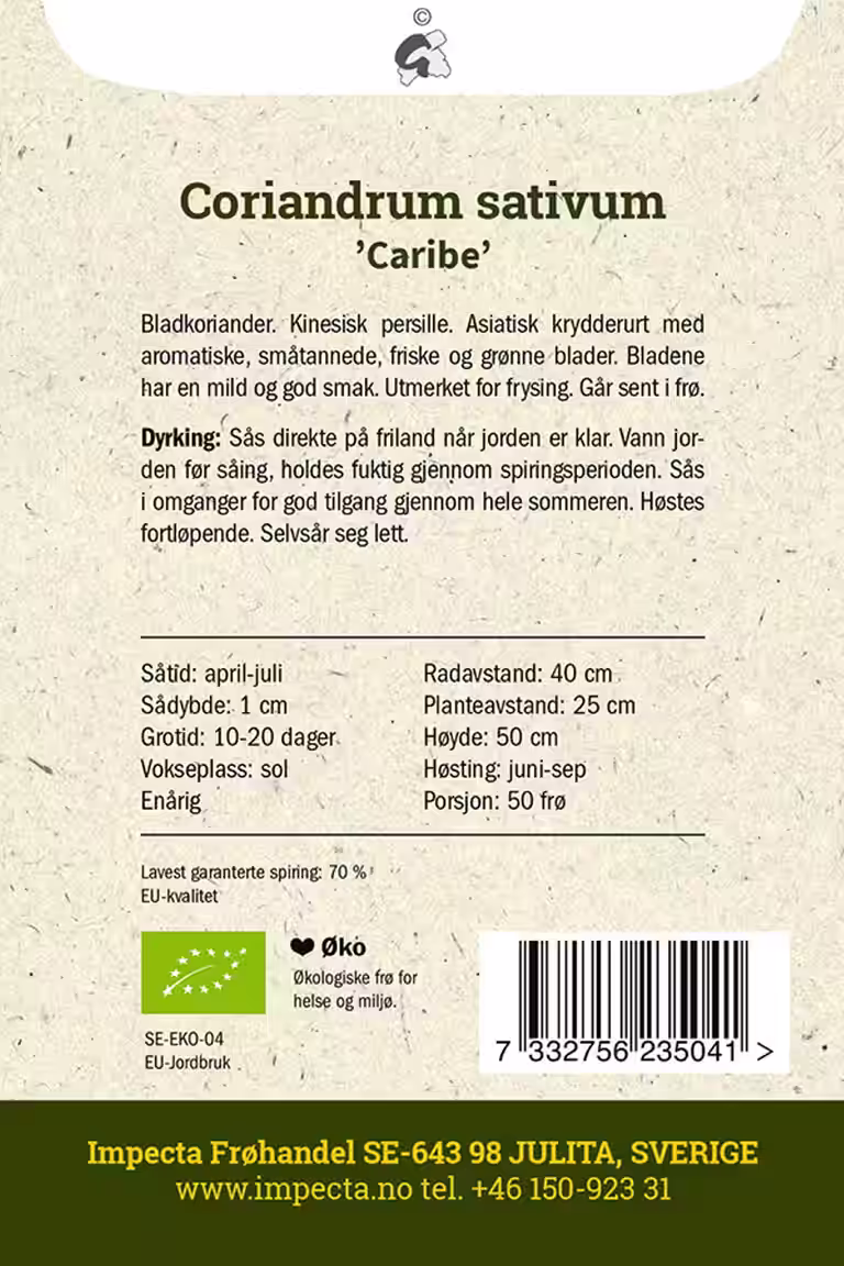 Koriander 'Caribe'