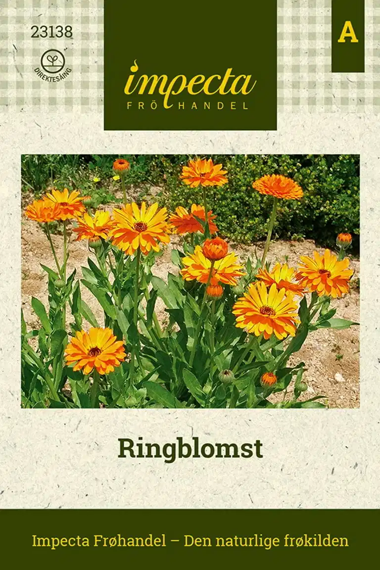Ringblomst