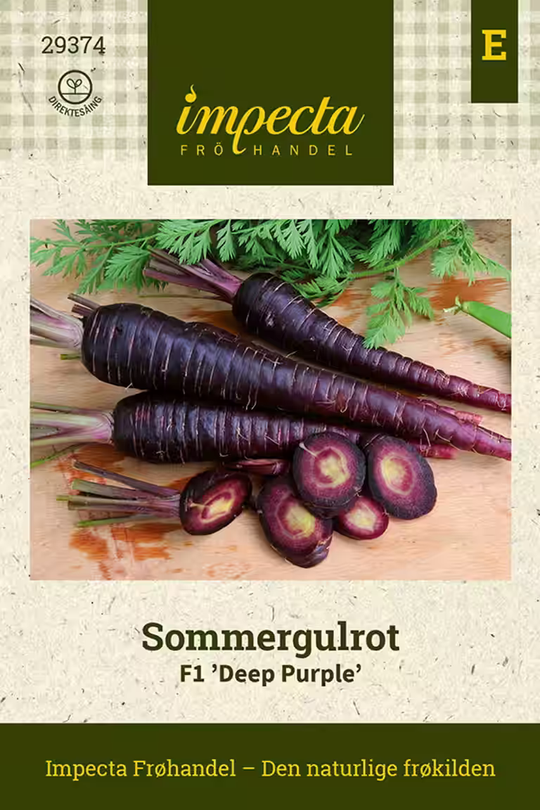 Sommergulrot F1 'Deep Purple'