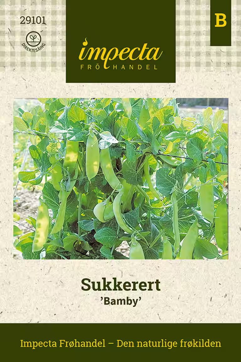 Sukkerert 'Bamby'