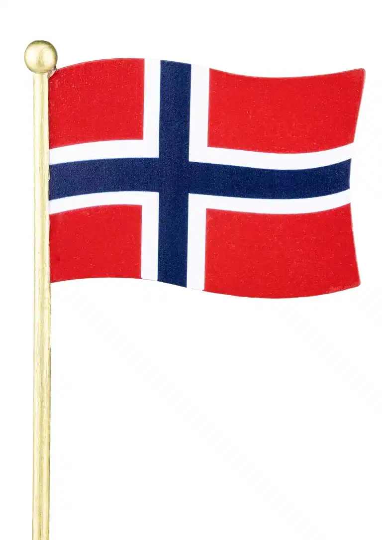 Blomsterpinne norsk flagg