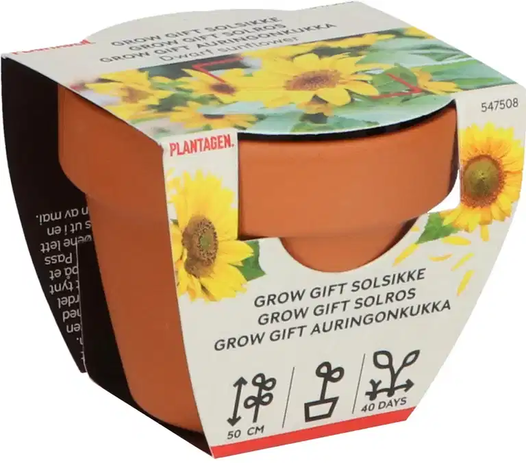 Dyrkesett Solsikker Grow gifts