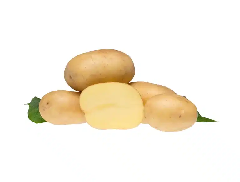 Potato Colomba 2,5 KG
