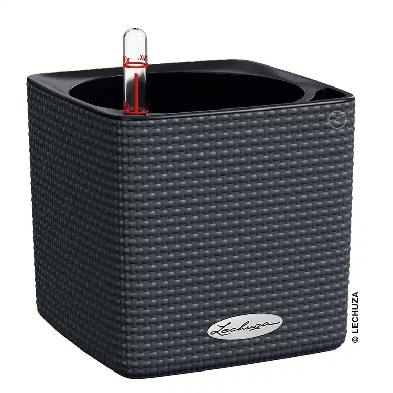 Selvvanningspotte Cube