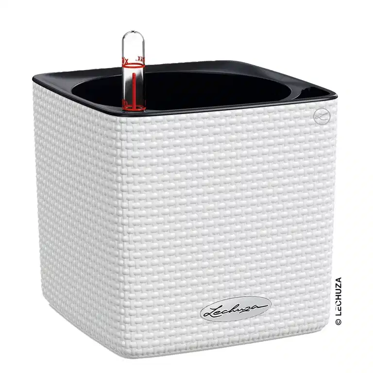 Selvvanningspotte Cube