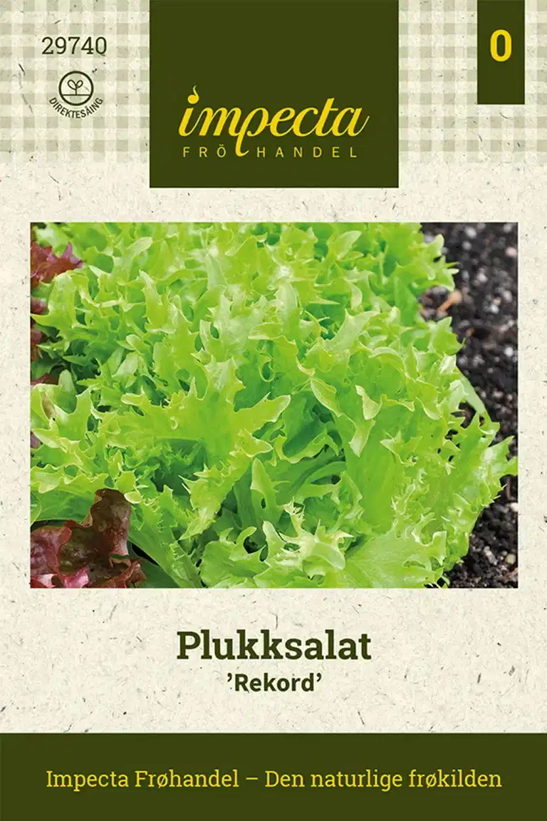 Plukksalat 'Rekord'
