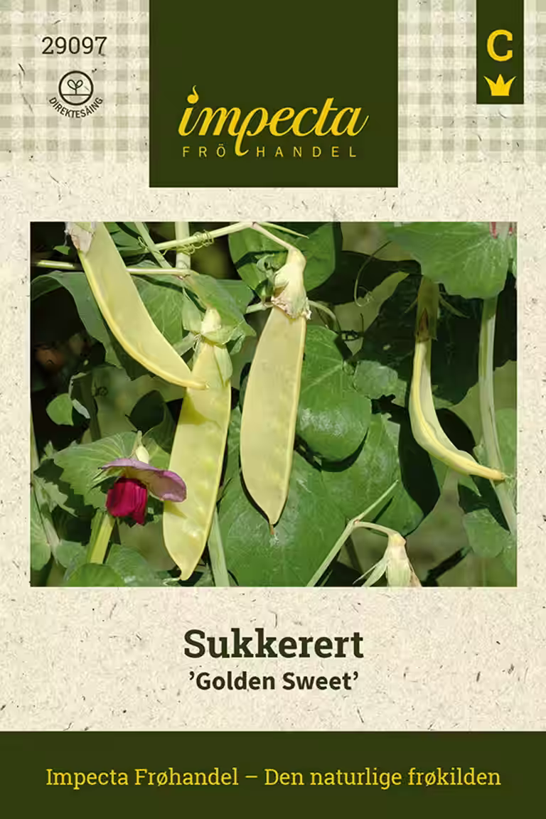 Sukkerert 'Golden Sweet'