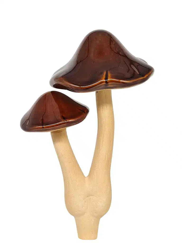 Dekorasjonssopp Fungi