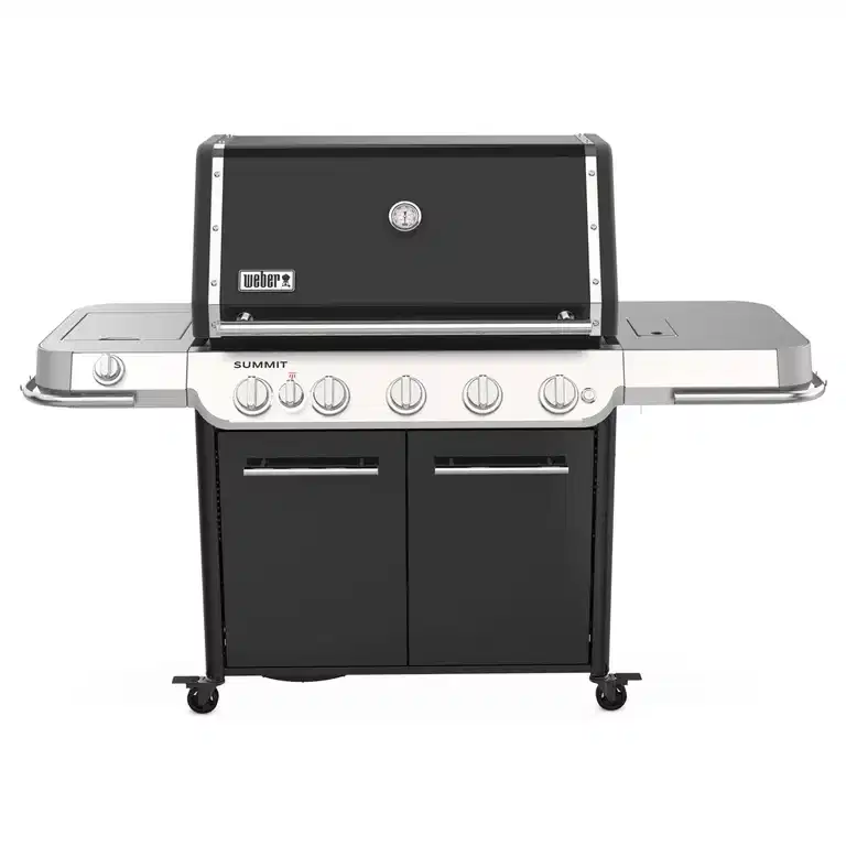 Gassgrill Summit E FS38