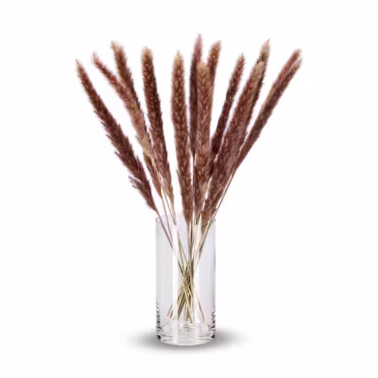 Pampas