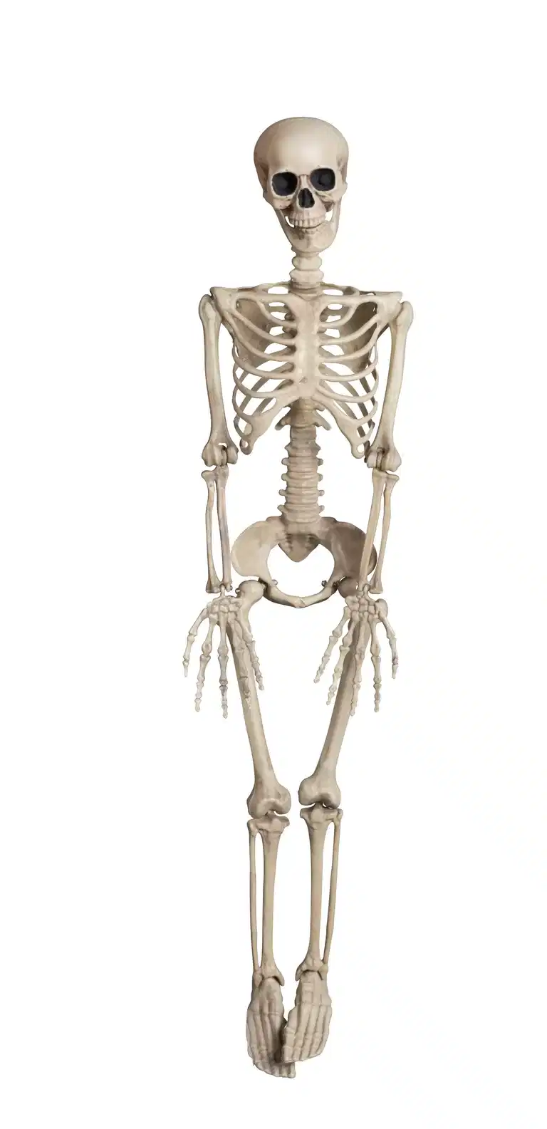 Halloweendekorasjon Skjelett