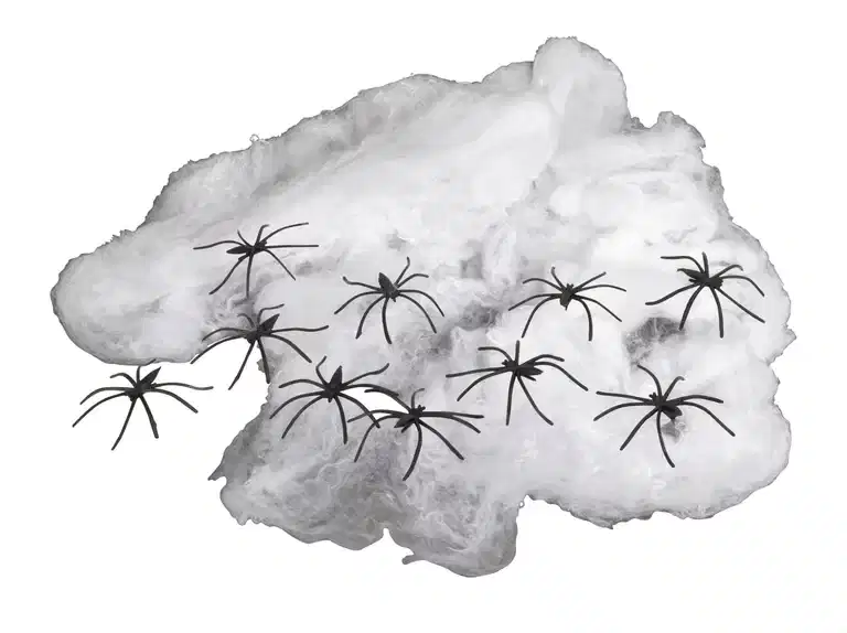 Halloweendekorasjon Spindelvev