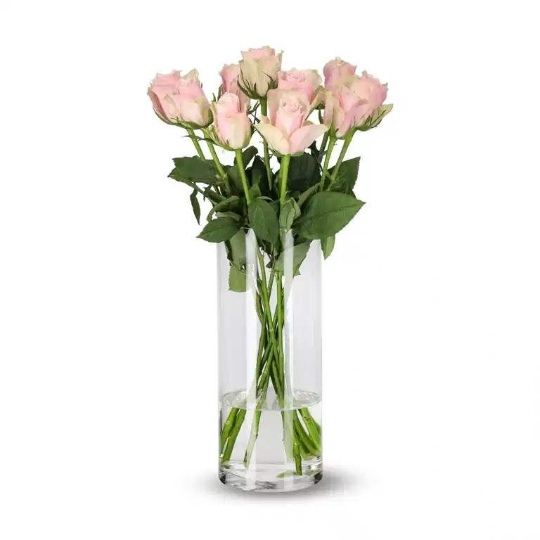 Rosa Mix 10 pk 50 cm