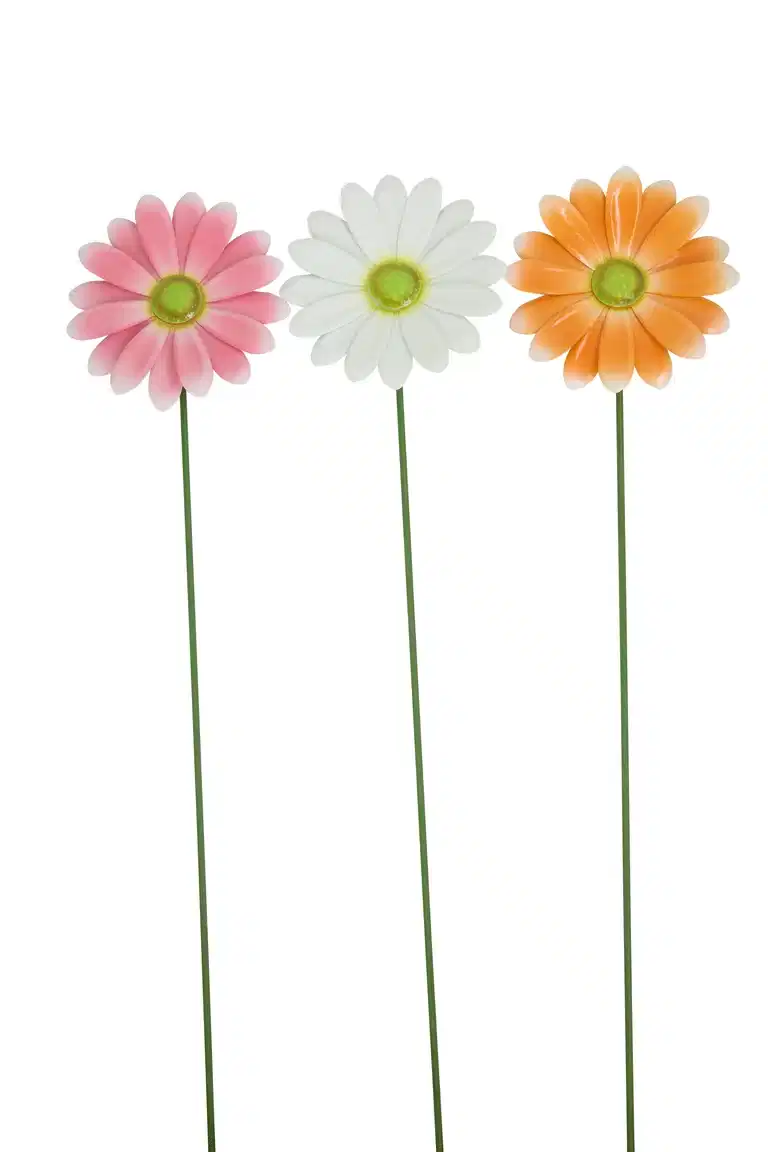 Dekorasjonspinne Evy