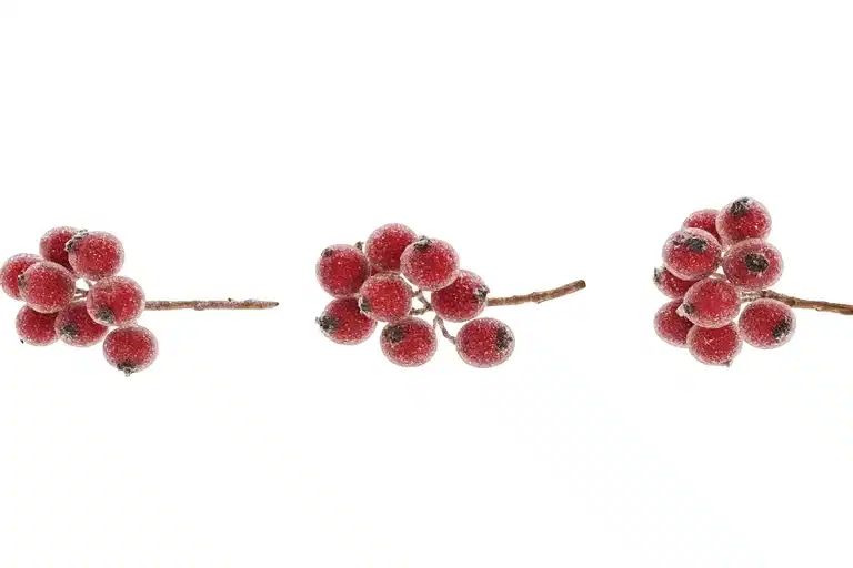 Dekorbær på stilk