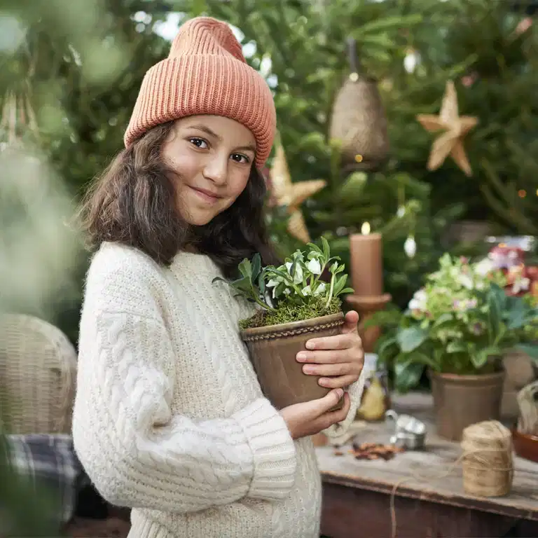 LC: 25 % off all helleborus