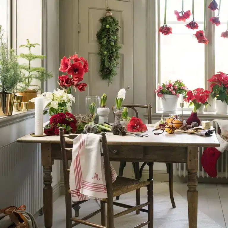 30 % på alle blomstrende inneplanter