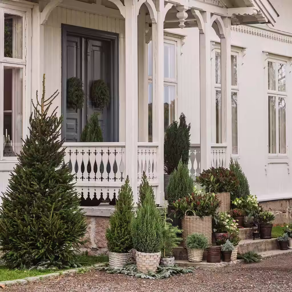 Frame the entrance with various types of colorful plants