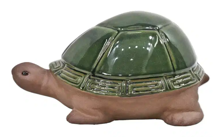 Dekorasjonsskilpadde Truls