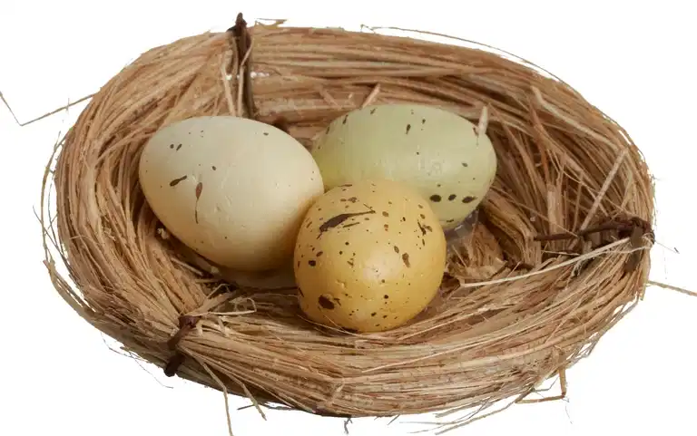 Påskedekorasjon Nest