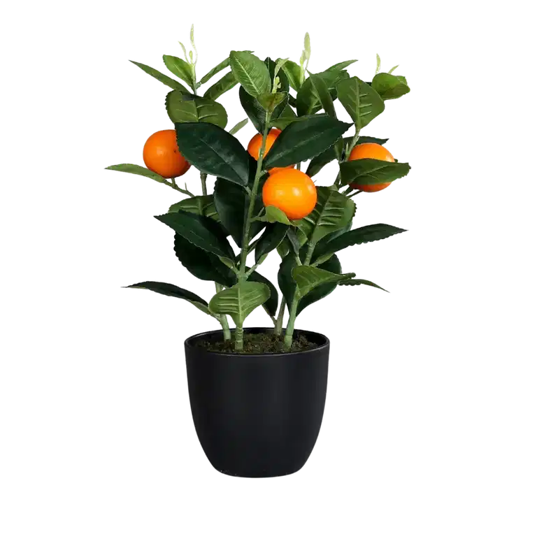 Sitrusplante kunstig