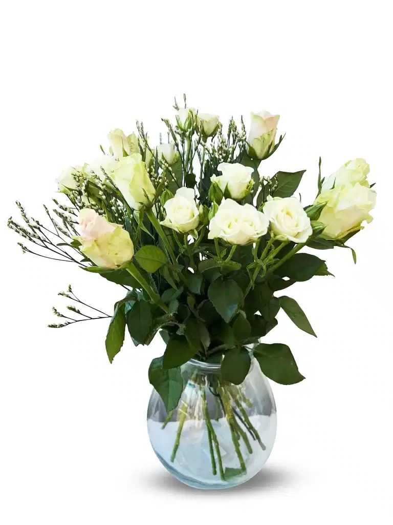 Bouqet Sofia 12 roses+limonium