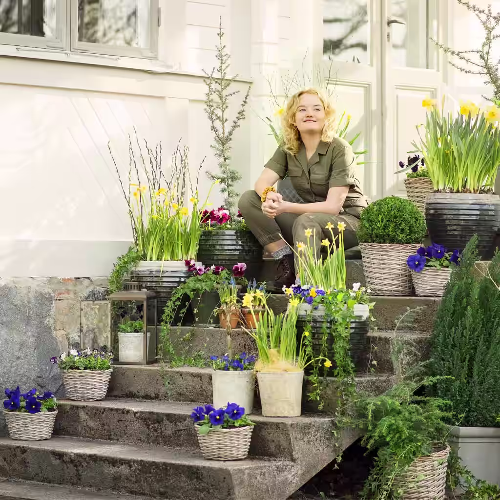 Vårblomster i potte – pynt inngangspartiet til vår