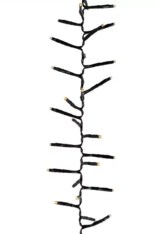 Light Chain Complete Cluster