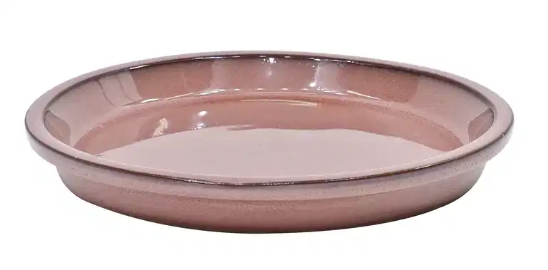 Saucer Freya