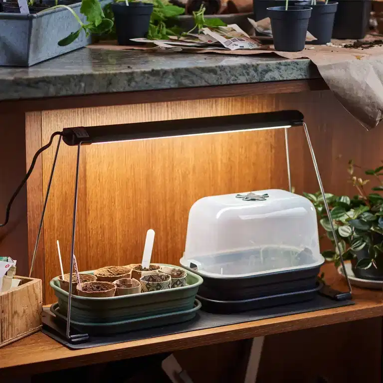 Medlemstilbud: Startkit forkultivering til kun 599,90 (førpris 1209,40)